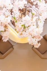 inspire-r1-c1.jpg